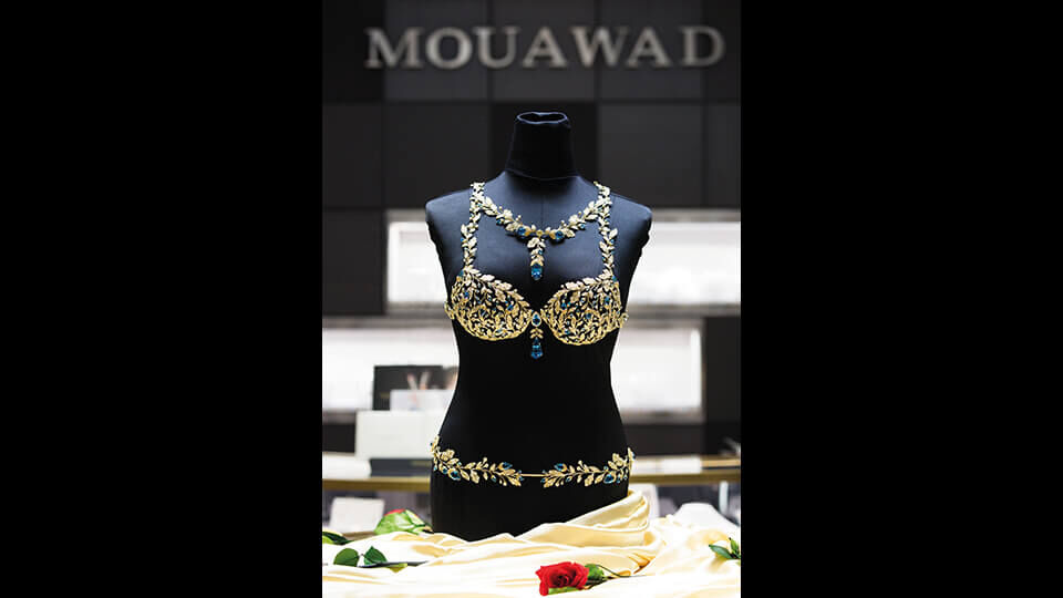 Guinness World Record as the most expensive bra ever made. The $2 million  Champagne Nights Fantasy Bra by Mouawad has 6,000 white diamon