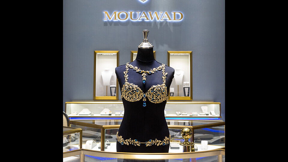 Guinness World Record as the most expensive bra ever made. The $2 million  Champagne Nights Fantasy Bra by Mouawad has 6,000 white diamon
