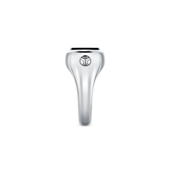 Grande Ellipse Men's Ring in Black Onyx