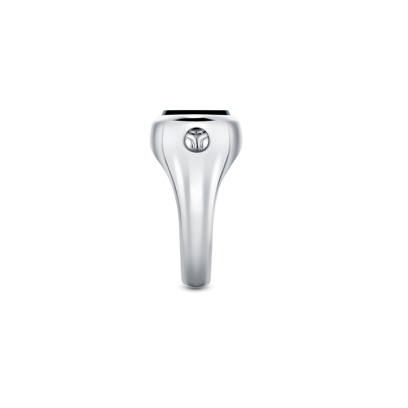 Grande Ellipse Men's Ring in Black Onyx